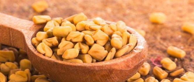 فوائد الحلبة للصحة والبشرة