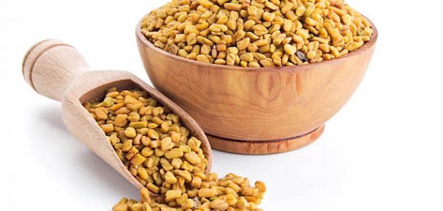 فوائد الحلبة للصحة والبشرة